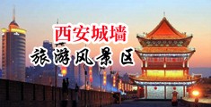 美女被操叫的太骚了中国陕西-西安城墙旅游风景区